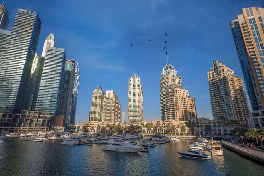 Dubai Full-Day Tour: Mosque, Souks, Burj Khalifa photo stop - First impressions: a full-day hit list from old Dubai to the skyline