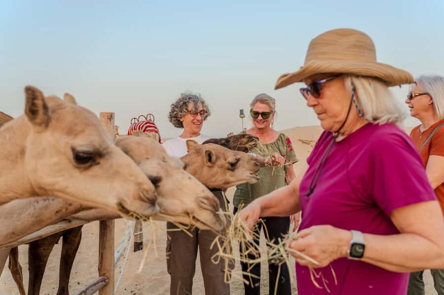 Dubai: Half-Day Camel Trekking with Al Marmoom Breakfast - Bedouin breakfast: the meal people remember