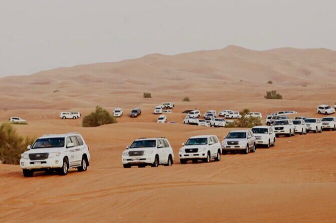 Dubai: Half-Day Desert Safari ,Camels & Sunset - Key highlights