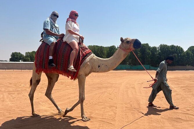 Dubai: Half-Day Desert Safari ,Camels & Sunset - Sunset view and photo stop inside the dunes