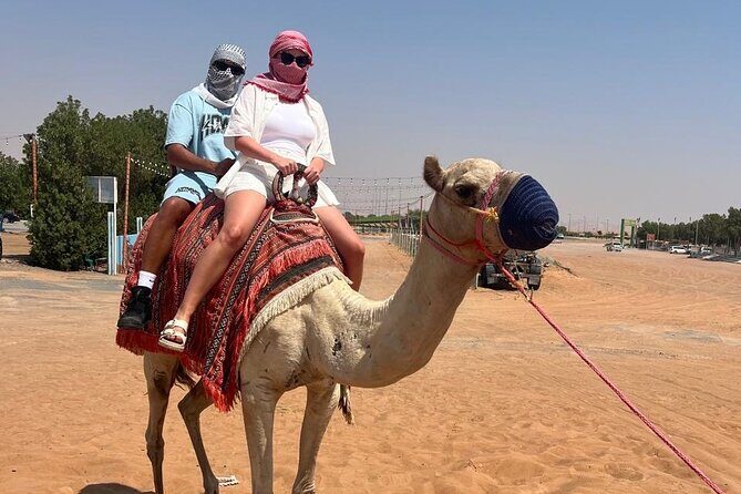 Dubai: Half-Day Desert Safari ,Camels & Sunset - Driving back to Dubai: the clean finish