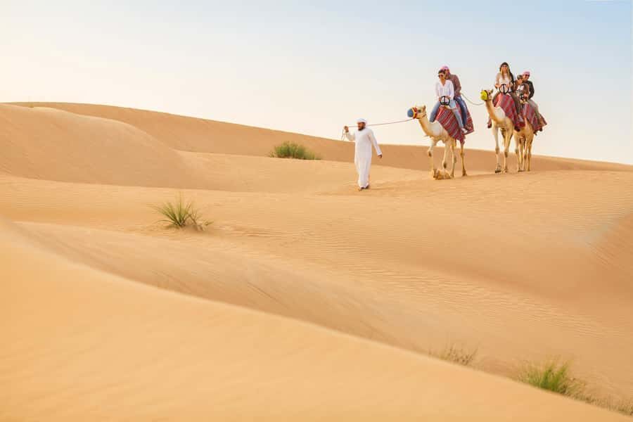 Dubai: Heritage Camel Desert Safari with Traditional Dinner - Who This Dubai Camel Desert Safari Fits Best