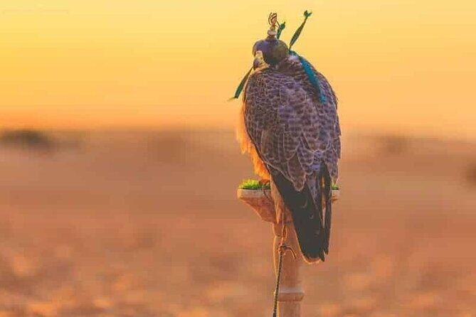 Dubai Hot Air Balloon Sunrise Sightseeing Ride - Why Dubai’s Sunrise Balloon Is Such A Good Use Of A Morning