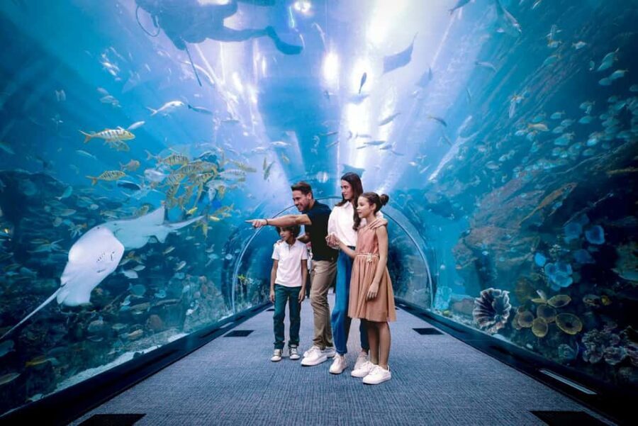 Dubai Iconic Burj Khalifa + Aquarium + Sky Views Ticket - At The Top at Burj Khalifa: Levels 124/125 and Dubai’s Skyline