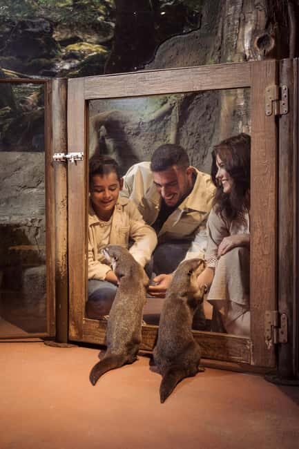 Dubai Iconic Burj Khalifa + Aquarium + Sky Views Ticket - Dubai Aquarium & Underwater Zoo: Marine Life Close Up