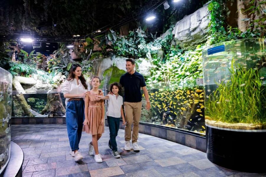 Dubai Iconic Burj Khalifa + Aquarium + Sky Views Ticket - Booking Notes and Practical Options