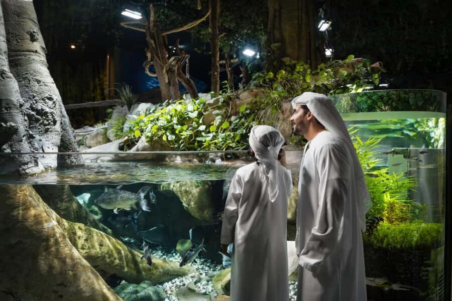 Dubai Iconic Burj Khalifa + Aquarium + Sky Views Ticket - How to Plan the Day: Start Any Stop, Time Burj Khalifa