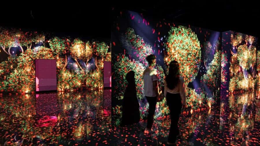 Dubai: iVenture Card Dubai Flexi Attractions Pass - Other included experiences worth considering (depending on your taste)