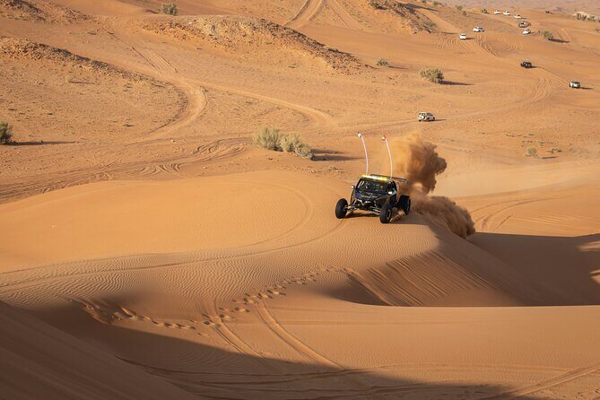 Dubai Long Self-Drive Quadbike with Camel and Falcon - Who This Desert Quadbike Combo Fits Best