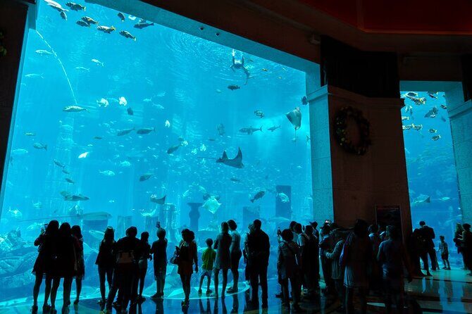 Dubai Lost Chambers Aquarium Admission E-Ticket - Poseidon’s Court and the Ambassador Lagoon: open-air ruins and a water option