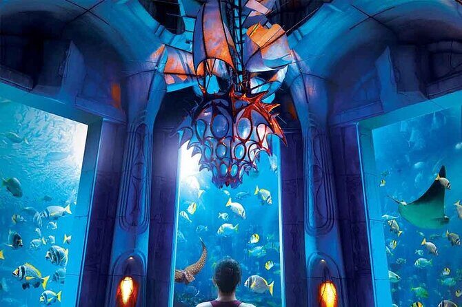 Dubai Lost Chambers Aquarium Admission E-Ticket - How long it takes in real life: 5 hours on paper vs 30 minutes in motion