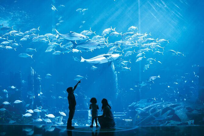 Dubai Lost Chambers Aquarium Admission E-Ticket - Around the aquarium: using Atlantis The Palm without overpaying your time