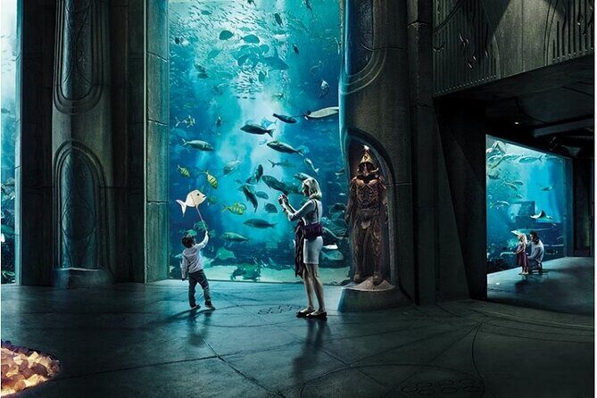 Dubai Lost Chambers Aquarium Admission E-Ticket - Animal highlights you can plan around: Arabian Gulf species, seahorses, jellyfish, arapaima