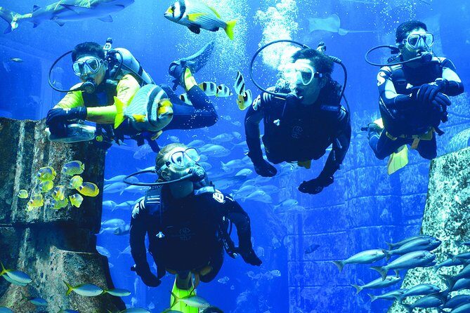 Dubai Lost Chambers Dive Discovery - Gear Up at Atlantis: What’s Included (and What’s Not)