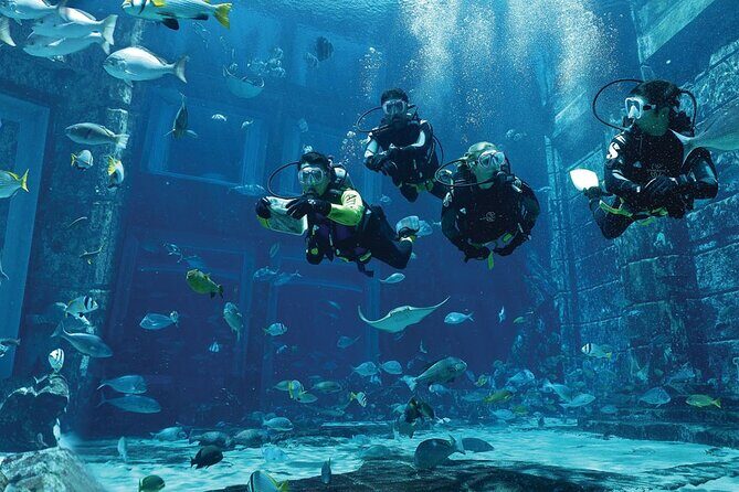 Dubai Lost Chambers Dive Explorer (Certification Required) - Certification and ID checks: the stuff that can save your morning