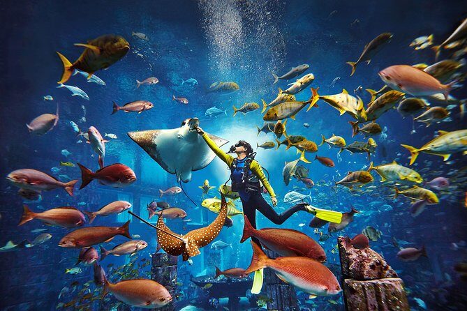 Dubai Lost Chambers Dive Explorer (Certification Required) - Check-in at Lost Chambers Aquarium: what happens before you’re in the water