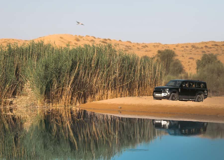 Dubai: Luxury Safari with Michelin-Curated 5-Course Dinner - Key moments that make this safari worth it