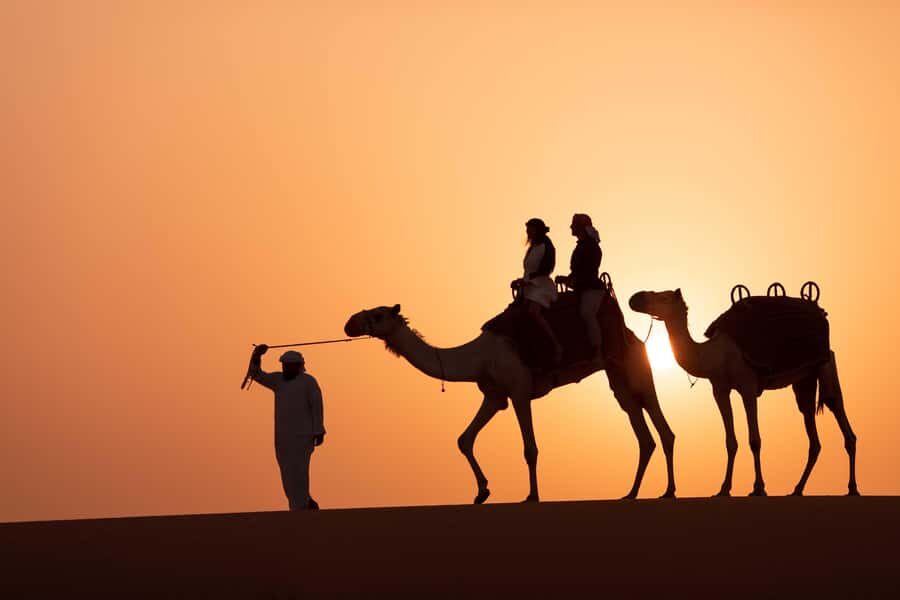 Dubai: Luxury Safari with Michelin-Curated 5-Course Dinner - Flaming Sands of Arabia: fire, aerial acrobatics, and the vibe after dinner