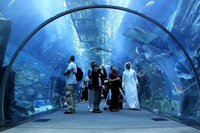 Dubai Mall Aquarium and Underwater Zoo Ticket - Dubai Aquarium ticket value: why it costs $69.78