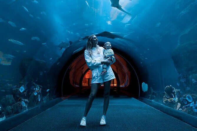 Dubai Mall Aquarium and Underwater Zoo Ticket - What the 1 to 4 hour time window feels like in practice