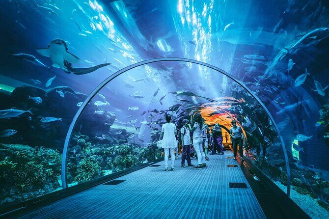 Dubai Mall Aquarium and Underwater Zoo Ticket - The main tank: what you’ll actually see in the suspended aquarium