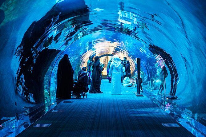 Dubai Mall Aquarium & Underwater Zoo with Penguin Cove Tickets - The aquarium’s “big tank” animals: how to see more without rushing