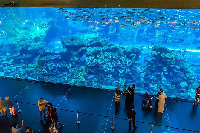 Dubai Mall Aquarium & Underwater Zoo with Penguin Cove Tickets - Underwater Zoo + Penguin Cove: where the experience broadens