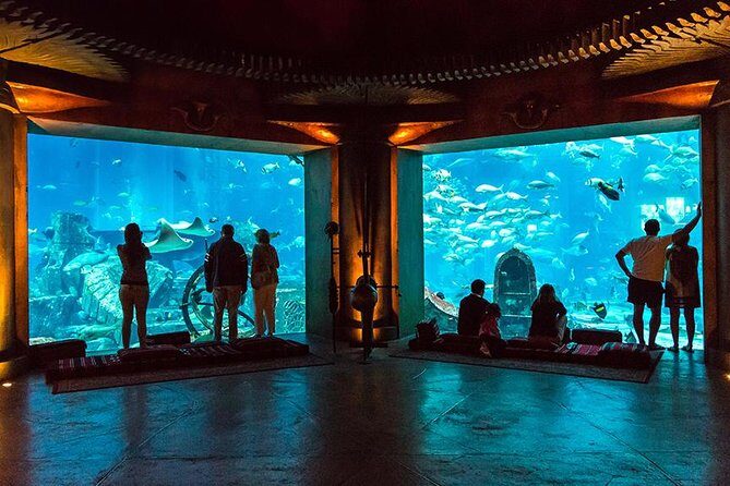 Dubai Mall Aquarium & Underwater Zoo with Penguin Cove Tickets - How long should you plan for? (The honest 2-hour reality)
