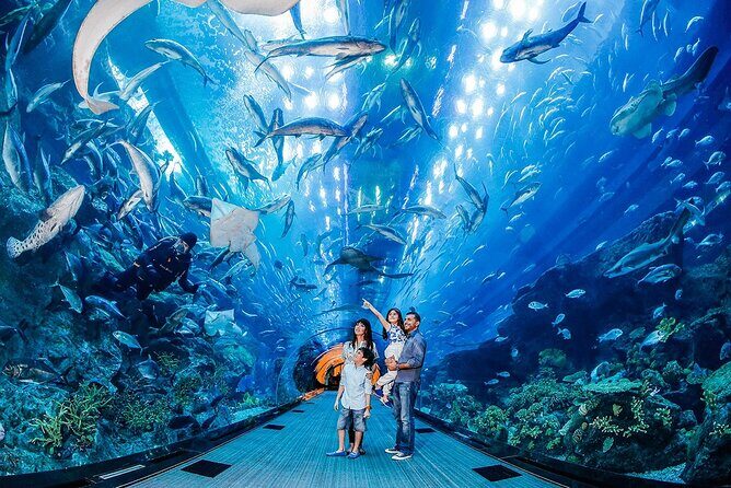 Dubai Mall Aquarium with Penguin Cove + Skyview Ticket - Two major attractions, one Dubai Mall base