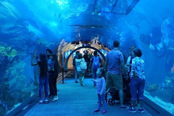 Dubai Mall Aquarium with Penguin Cove + Skyview Ticket - Sharks, rays, and the photo-friendly tank views