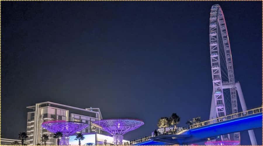 Dubai: Marina Dhow Dinner Cruise with Live Entertainment - Timing and meeting point: boarding at 8:30 and finding the boat
