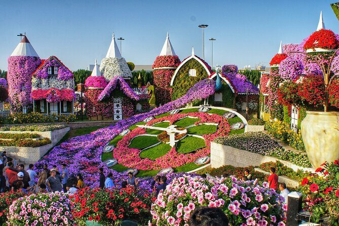 Dubai Miracle Garden Entry Pass with Hotel Pickup and Drop-Off - Hotel Pickup and Air-Conditioned Transport: The Real Value of This Pass