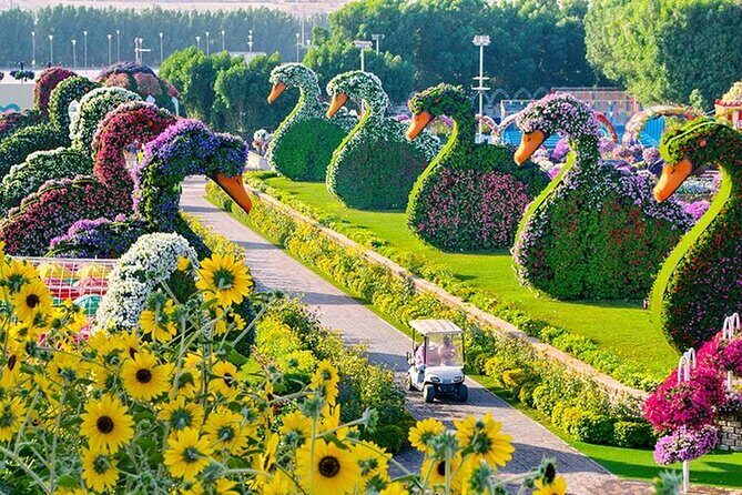 Dubai Miracle Garden Entry Tickets - Tickets, vouchers, and the one thing you must check