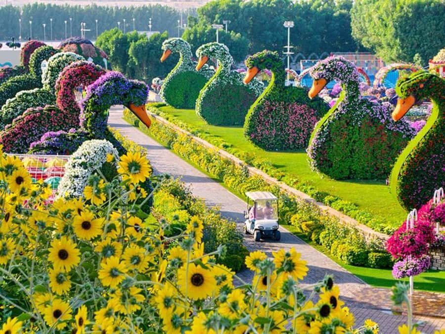 Dubai: Miracle Garden, Global Village, and Dubai Frame - How This Dubai Combo Really Feels: Fast, Focused, and Built for Night Views