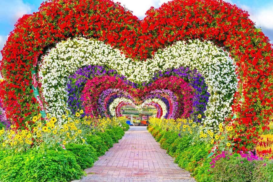 Dubai: Miracle Garden, Global Village, and Dubai Frame - Miracle Garden in the Desert: Millions of Blooms and Big Photo Design