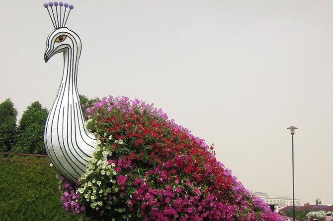 Dubai Miracle Garden Self-Guided Tour with Ticket with Transfer - Value check: is $80 worth it for ticket + transfers?