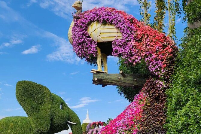 Dubai Miracle Garden Skip the Line E-Ticket and Transport Options - What you can and can’t do inside the garden