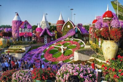 Dubai: Miracle Garden Ticket With Transfer - Dubai Miracle Garden: 45 Million Flowers and Built for Photo Time