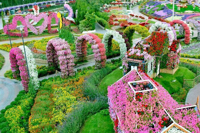 Dubai Miracle Garden Ticket with Transfer - Who Should Book This Tour (and Who Might Want Another Option)