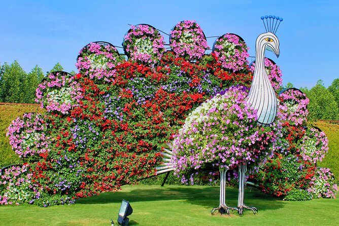 Dubai Miracle Garden Ticket with Transfer - FAQ