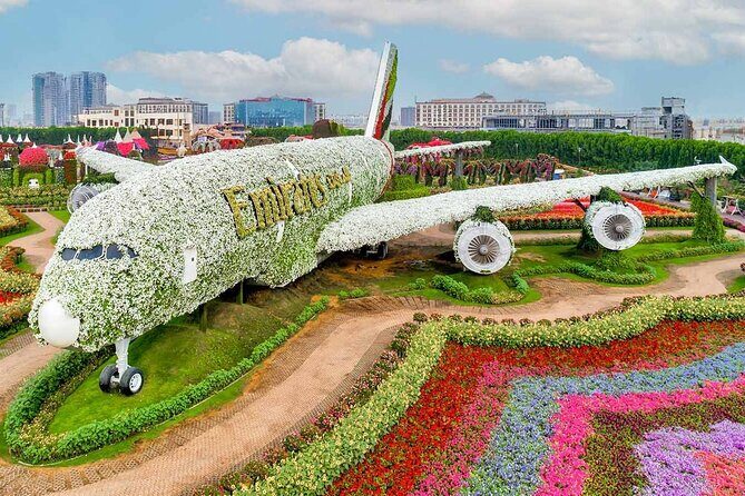 Dubai Miracle Garden Tickets with Round Trip Transfer - The transfer experience: drivers, A/C comfort, and real communication