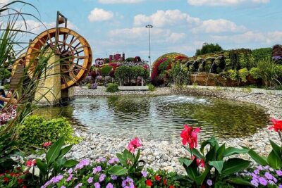 Dubai: Miracle Garden Tickets with Round-trip Transfer - The security step you should not ignore