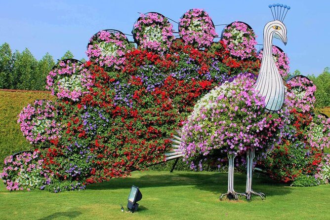 Dubai Miracle Garden with private round trip transfers - Pre-Booked Entry and a Mobile Ticket: Less Waiting, More Walking