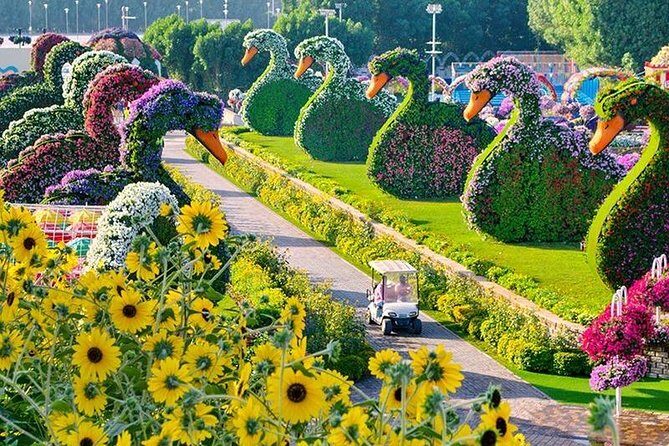 Dubai Miracle Garden with private round trip transfers - The Miracle Garden Visit: What Two Hours Really Lets You Do