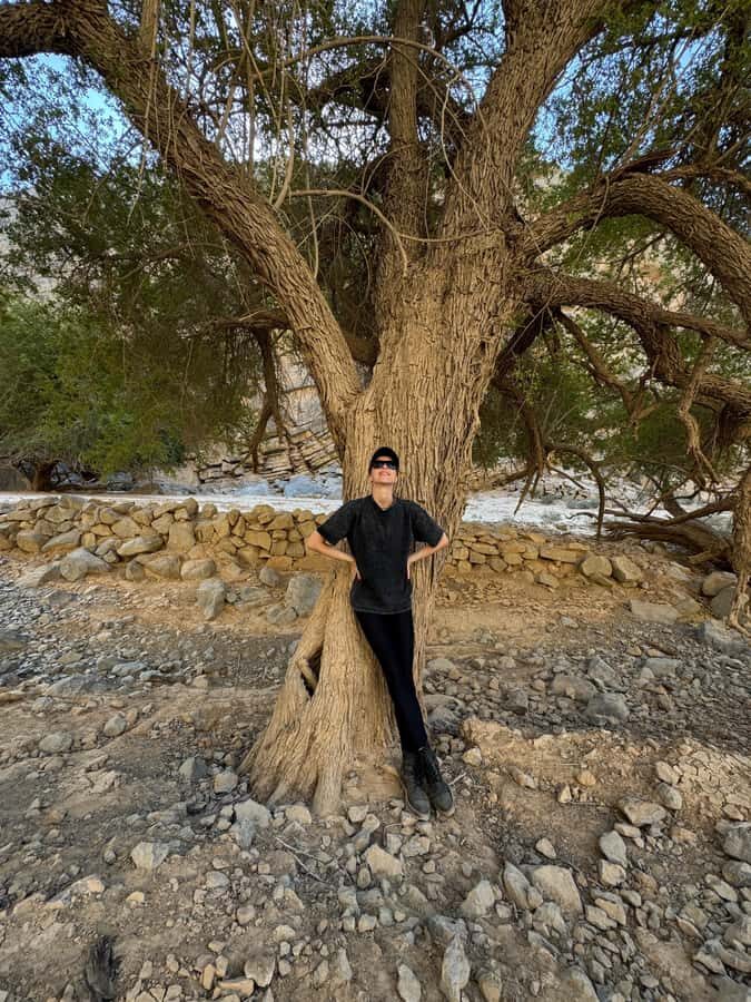 Dubai: Moderate hiking trip to Jebel Jais Hidden Oasis trail - Price and Value: What $126 Buys You in a Full Dubai-Day Program