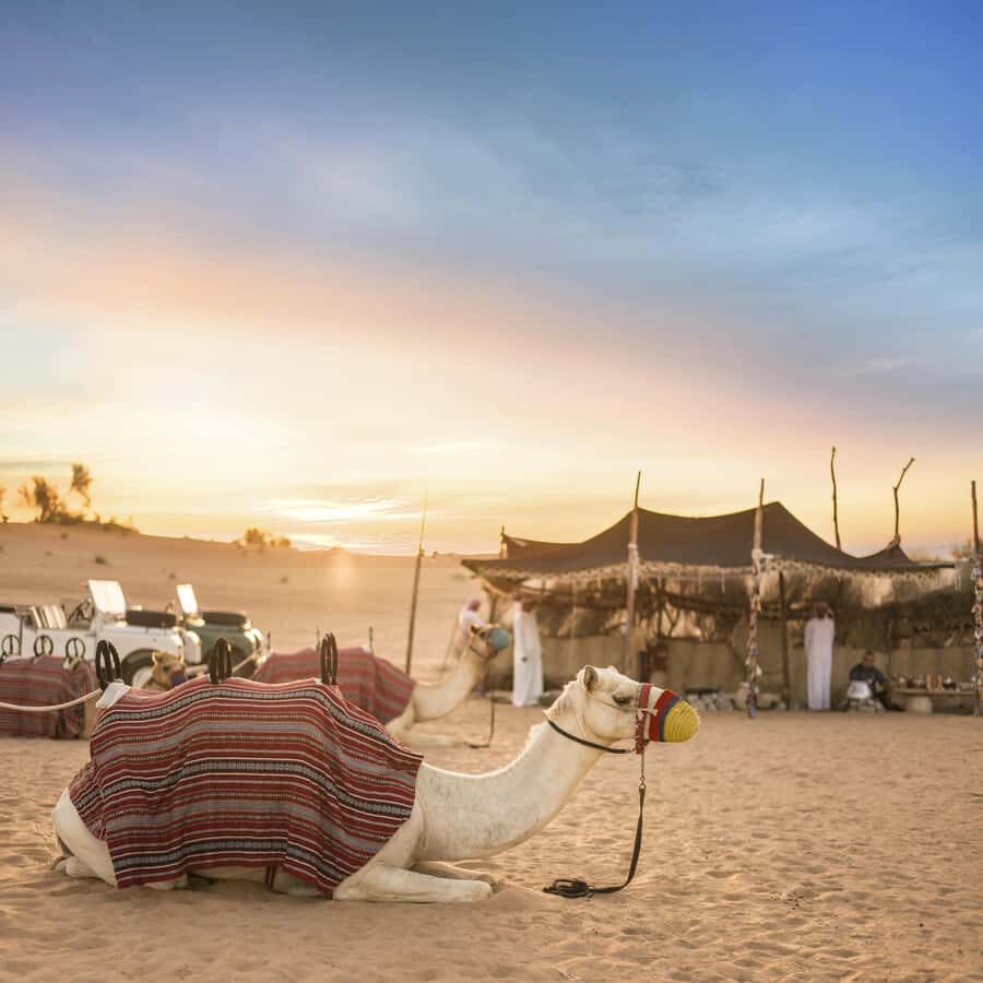 Dubai: Morning Bedouin Culture Safari, Traditional breakfast - Key things I’d circle before you go