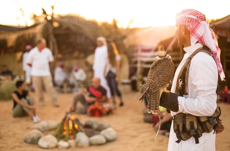 Dubai: Morning Bedouin Culture Safari, Traditional breakfast - Falconry, a Saluki companion, and camp life before the performances
