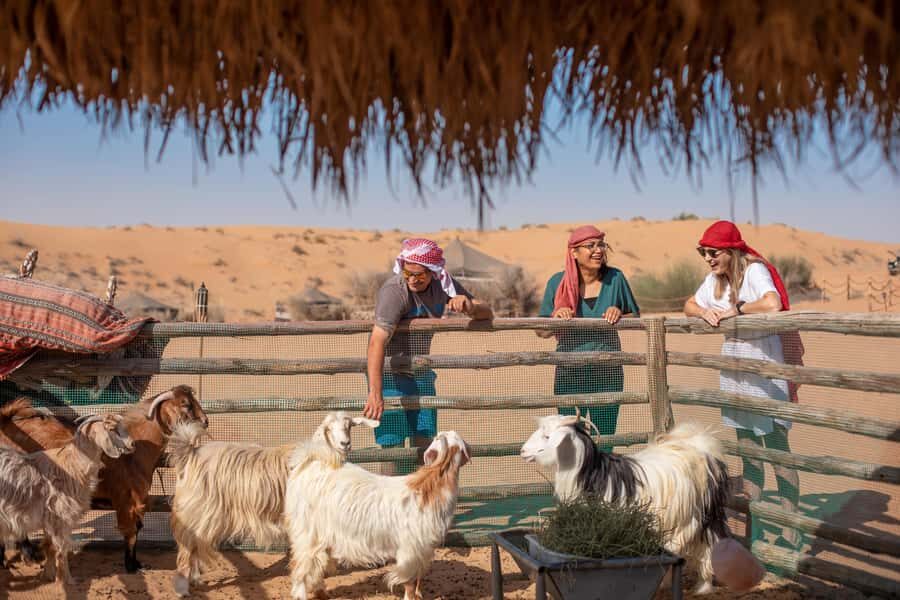 Dubai: Morning Bedouin Culture Safari, Traditional breakfast - Camel ride to a Bedouin-style camp: what to expect and how to prepare
