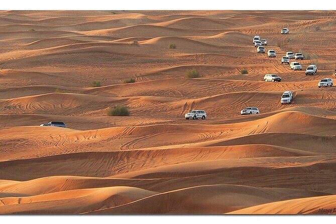Dubai Morning Desert Safari: Camel Ride & Sandboarding! - Guide quality: why names like Abdullah, Azmat, and Nasir matter