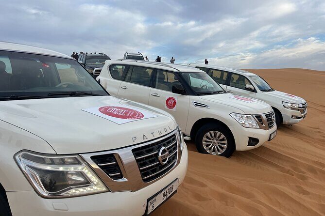 Dubai Morning Desert Safari Red Dune Camel Falcon & Sandboarding - Key highlights to know before you go